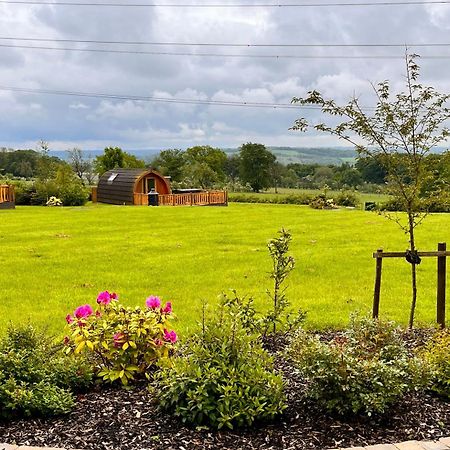 Cairnfold Cabins Kilsyth Екстер'єр фото