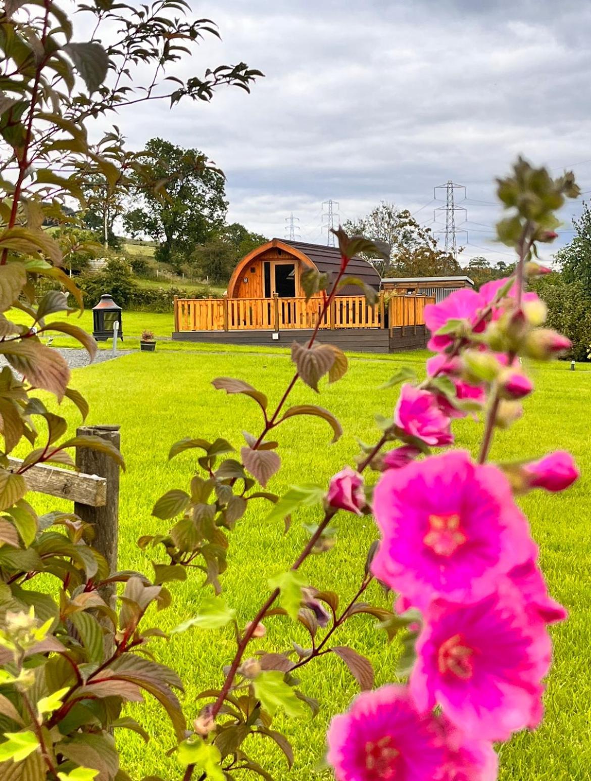 Cairnfold Cabins Kilsyth Екстер'єр фото